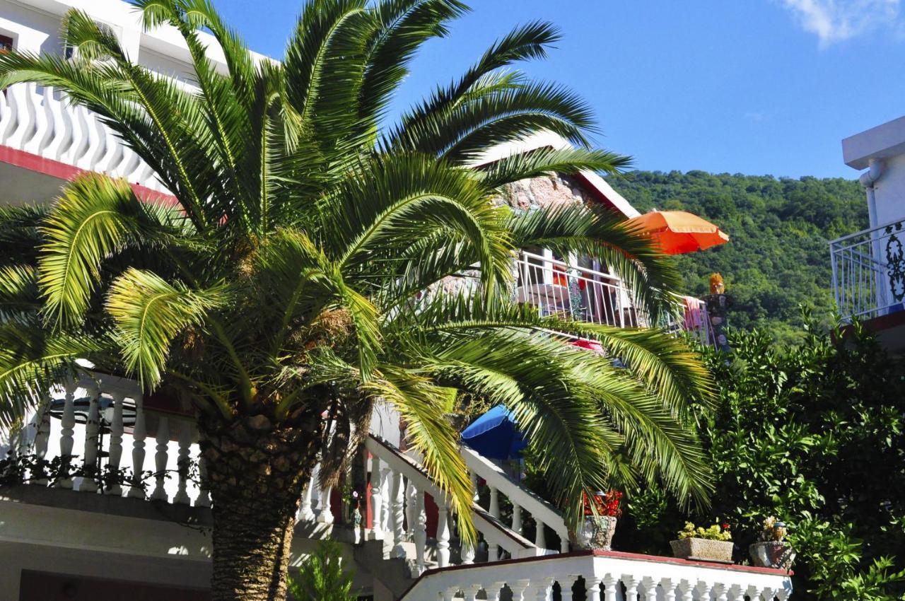 Radonjic Apartment Budva