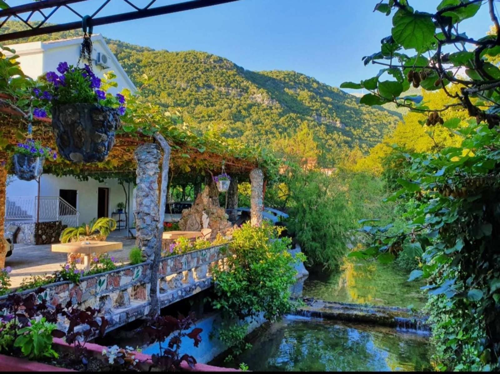 Radonjic Budva