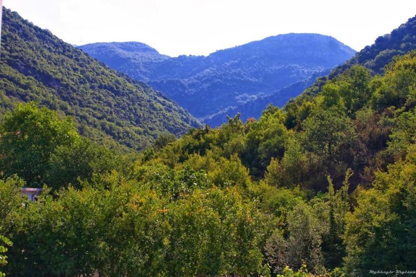 Radonjic Appartement *